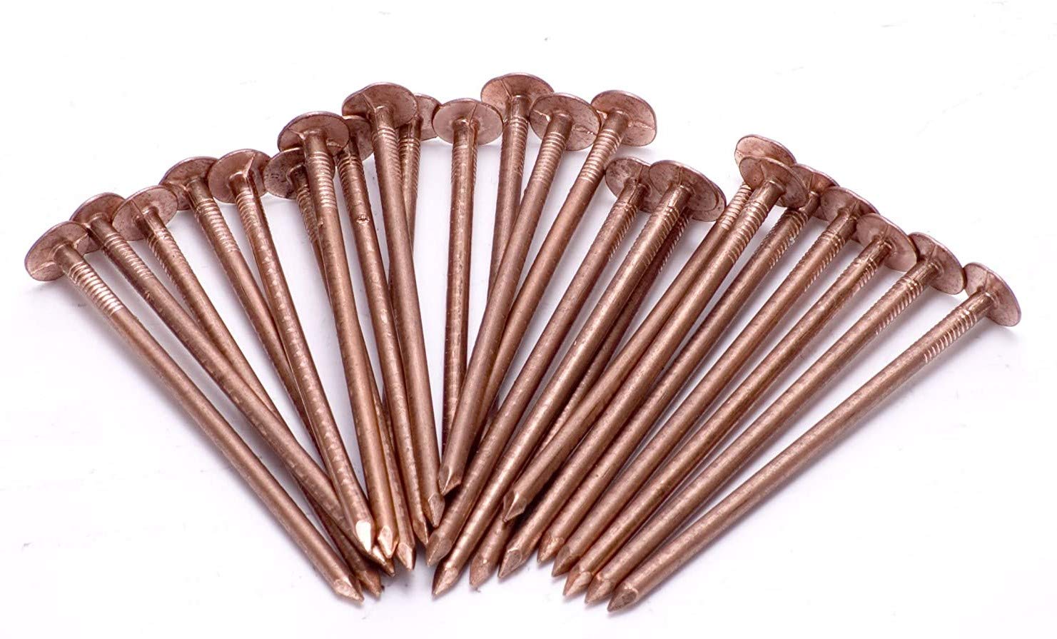 Copper Tree Stump Killer - 30 x Very Large 75 mm Copper Nails