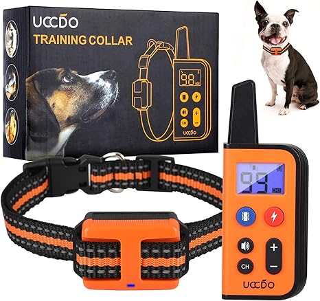 Training dog with vibration collar Clearance
