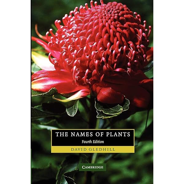Amazon.com: Mabberley's Plant-book: A Portable Dictionary of