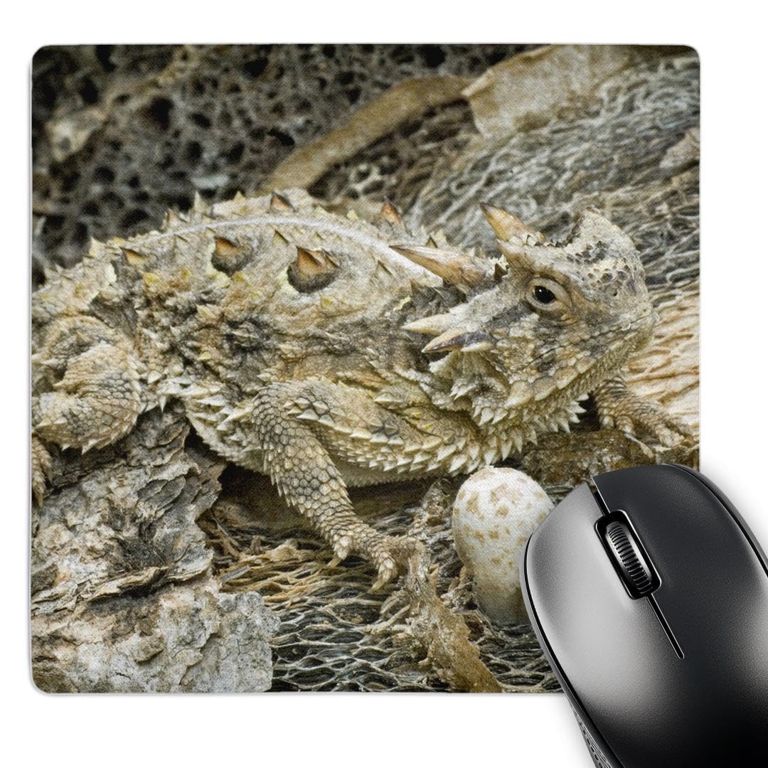 Photo 1 of 3dRose LLC 8 x 8 x 0.25 Inches Mouse Pad, USA, Texas, Rio Grande Valley, Horned Lizard, Jaynes Gallery (mp_94394_1)