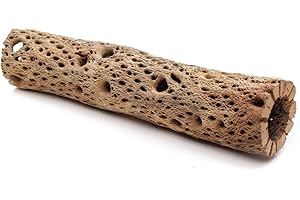 MY PET PATROL 3, 6, 9, 12 Inch All Natural Teddy Bear Cholla Wood Extra Hollow Untreated Organic Aquarium Driftwood Decoration Chew Toy Shrimp Crab Cichlid Nano Tank Birds 1 or 5 Pieces (1 Piece, 12 inch)