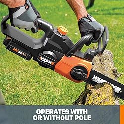 Worx WG323 20V Power Share 10" Cordless Pole/Chain