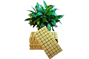 CastleGreens Rock Wool Planting Cubes, Rockwool Cubes 1 inch, Rockwool Cubes for Hydroponics, Great for Rooting, Cuttings, Cloning Plants, Seed Germination (4 Sheets, 200 Cubes Total)