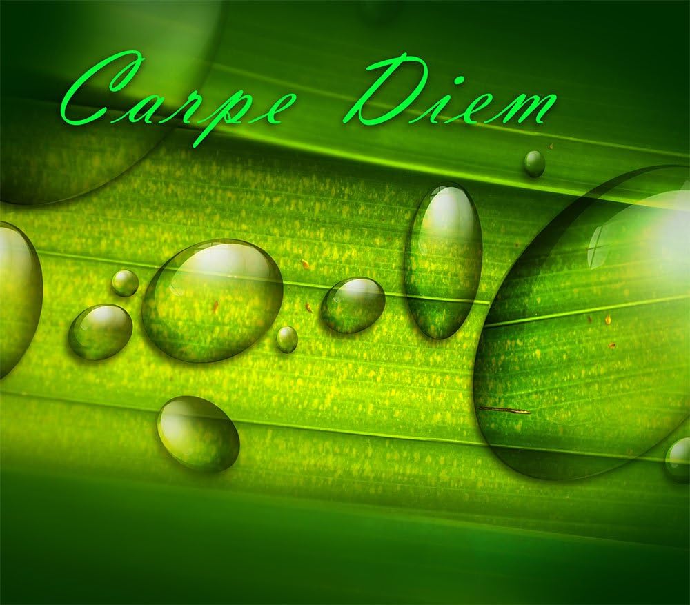DIXTIME cooker Splash Guard Rear Panel Stainless Steel FS 037 Carpe Diem Green Plant Leaves Water Droplets Kitchen Cooking Stove
