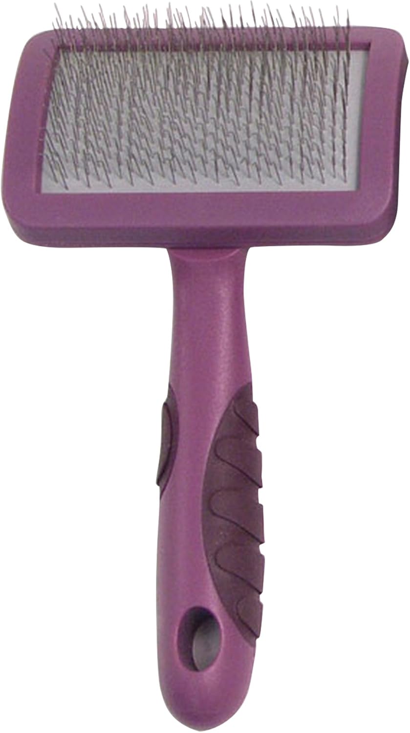 cage size for belgian malinois