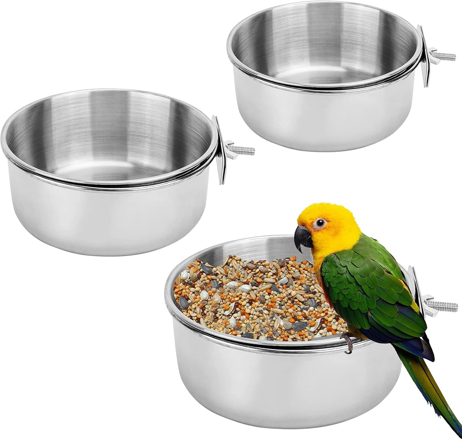 parrot feeding bowls