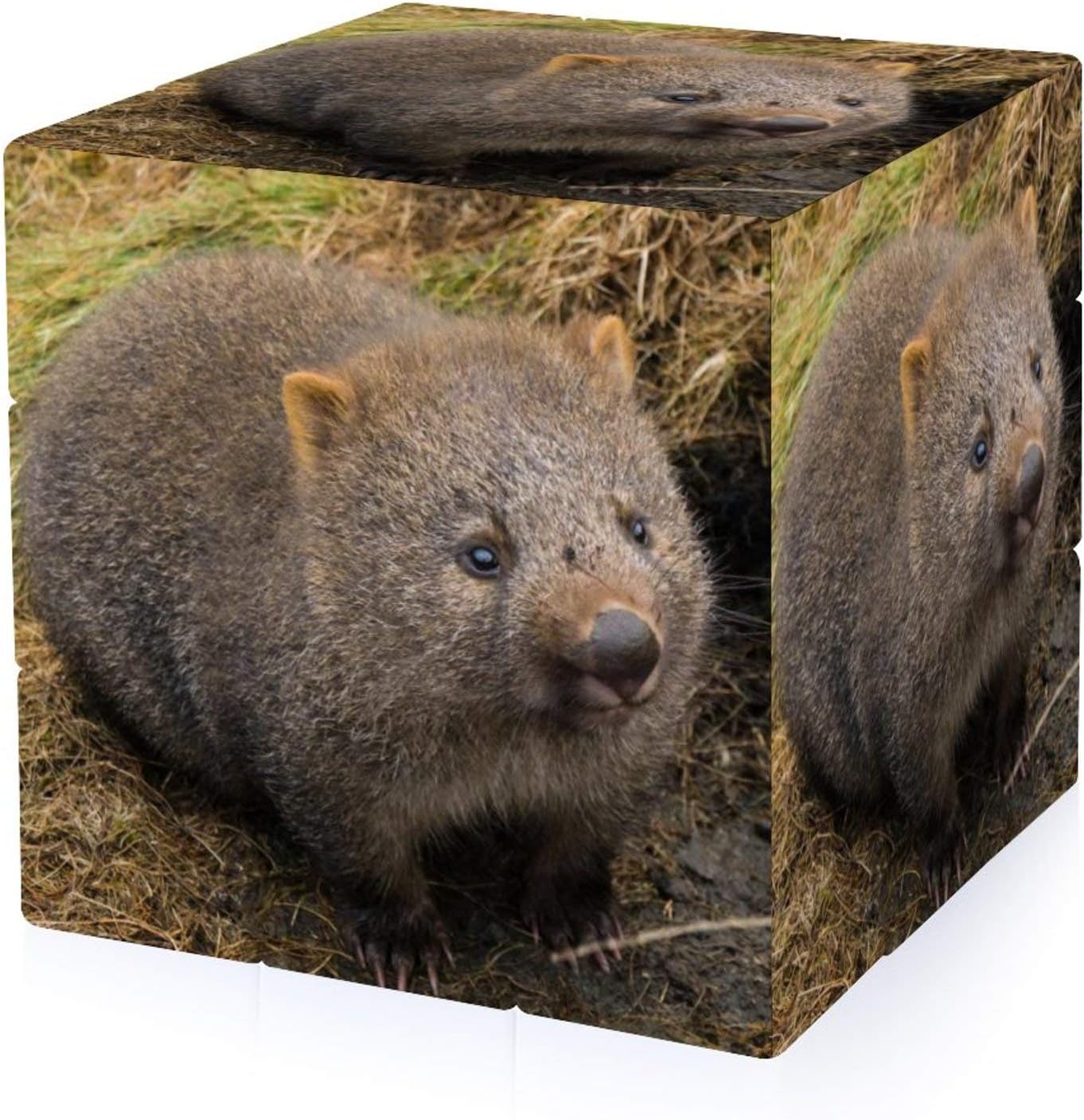 選べるサイズ展開 脳を育む いたずらいっぱい マウンテン おすすめ R4urealtygroup Com