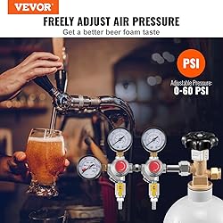 VEVOR CO2 Regulator Gauge with 0-60PSI, Heavy Duty