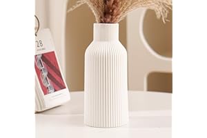 Hanaomaoyi Bohemian White Ceramic Vase - for Pampas Grass, Mantel, Bookshelf, Entryway and Living Room Decor (White, 7in)