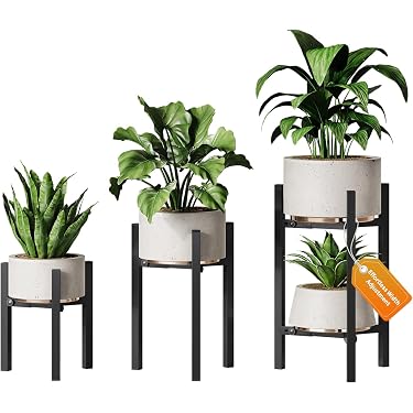 Amazon.com New Releases: The best-selling new & future releases in Plant  Stands