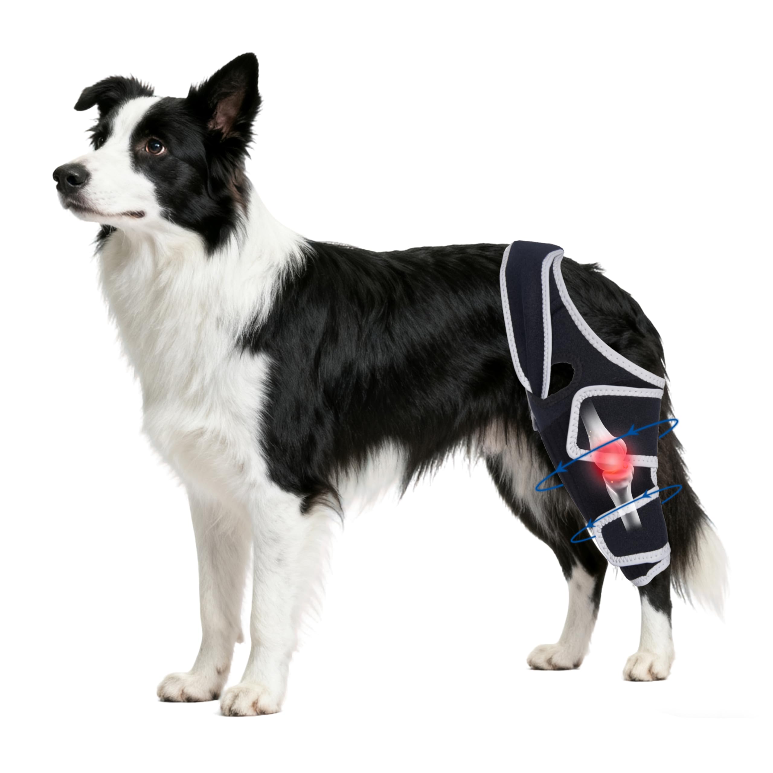 Photo 1 of Moysoon Dog Knee Brace for Torn Acl Hind Leg,Adjustable Four-Legged Universal Dog Knee Brace with Metal Support Strip,Keeps Joints Stable&Relieve Joint Pain and Ligament Damage,Size L.