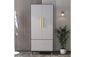 Hitow Wardrobe Armoire Closet with 2 Doors, Wooden Wardrobe Cabinet with 2 Drawers & Hanging Rod, Bedroom Armoire Cabinet Clothing Organizer, Type B Grey (31.5" W x 19.1" D x 65.1" H)…