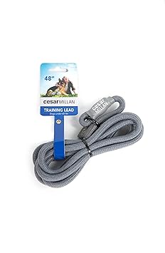 Cesar Millan Nylon Trainingsleine für Hunde, Grau