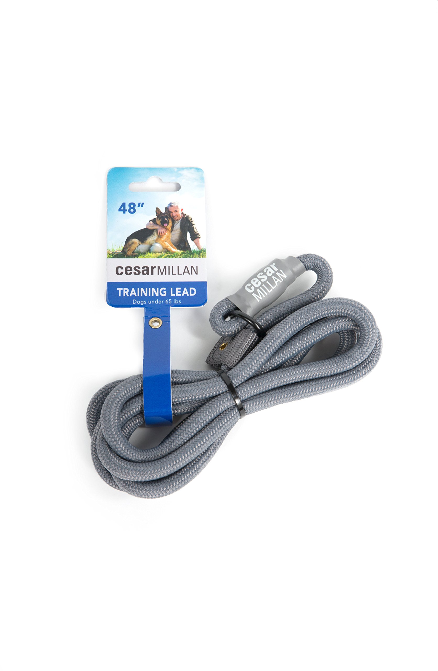 Cesar Millan Nylon Training Leadโข Training leash for dogs โ 2 in1 dog collar and leash (Regular, Grey โ image 1