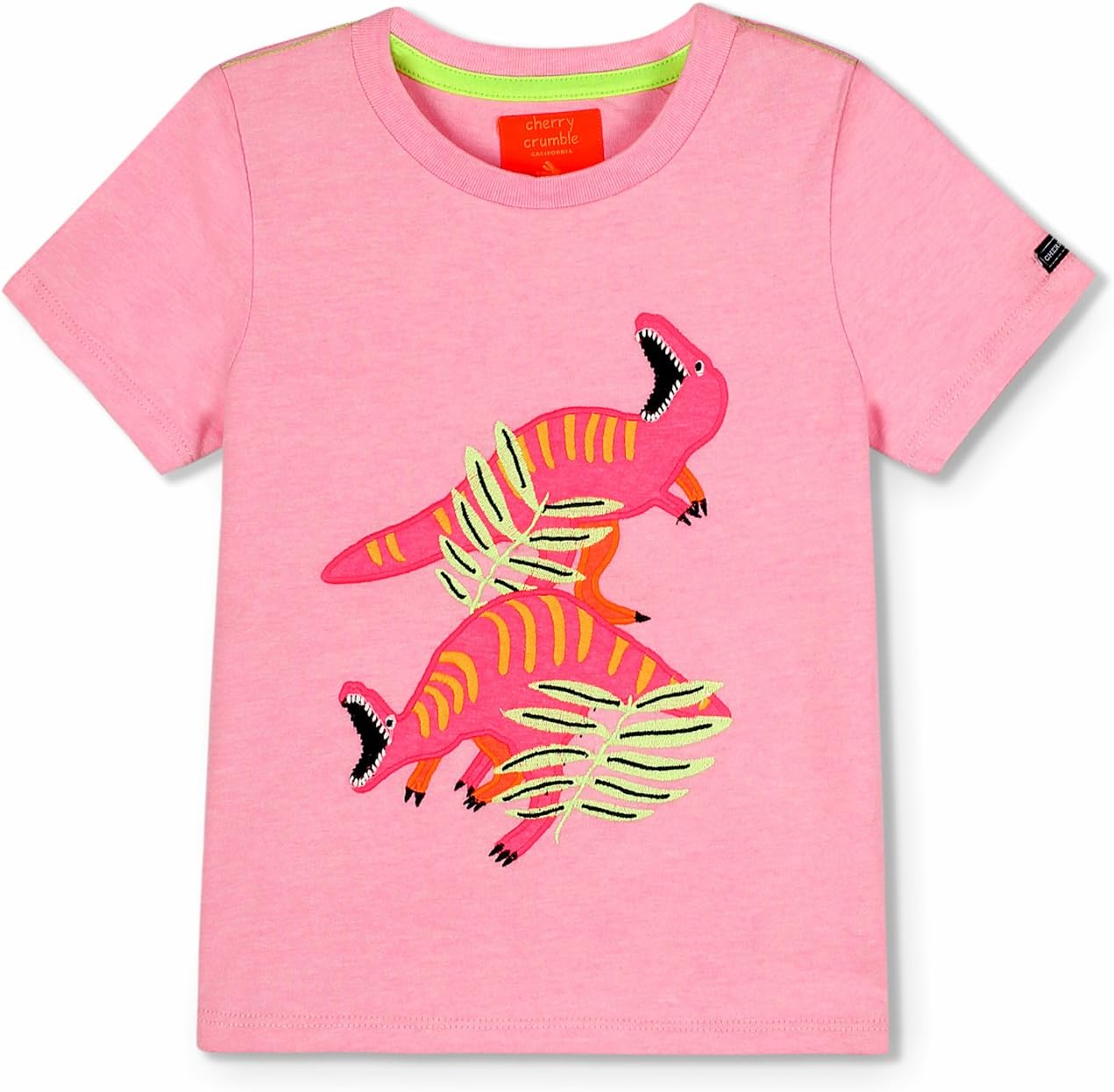 Boy's Regular fit T-Shirt