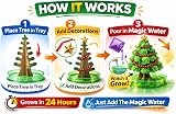 Playwrite Magic Growing Christmas Tree Crystal Kit for Kids 24 Hours view 3