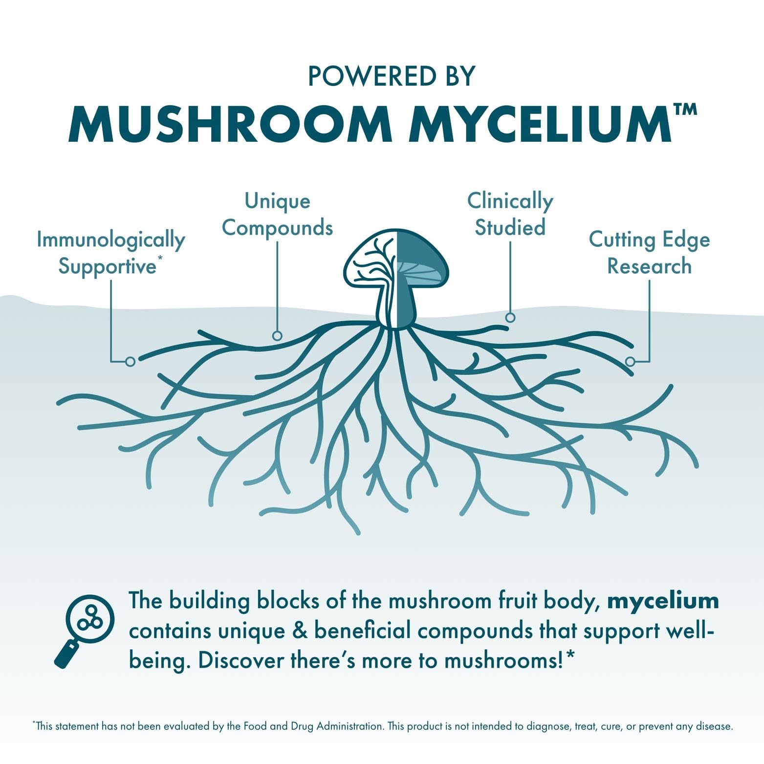 Host Defense Reishi Powder - Mushroom Mycelium Powder - Heart & Immune Health Support Supplement - Mushroom Supplement to Support Energy & Vitality - Aids Overall Well-Being - 3.5 oz (66 Servings)*