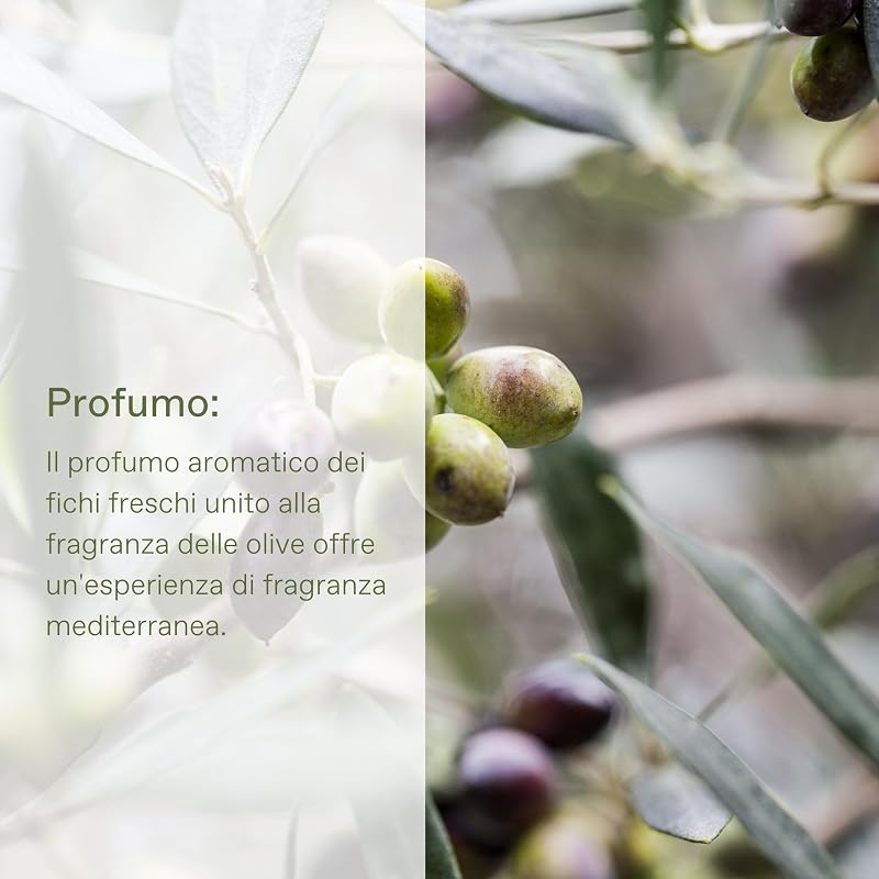 OLIVE FIG Latte corpo idratante per una pelle morbida, con olio extravergine di oliva, al fresco profumo di fico, vegano, senza siliconi e parabeni, 200 ml