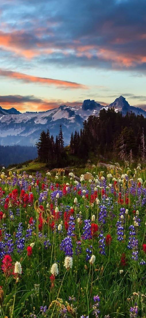 PeelitStickit, Beautiful Landscapes Wall Murals, ID-368, vinyl, Multi-colour