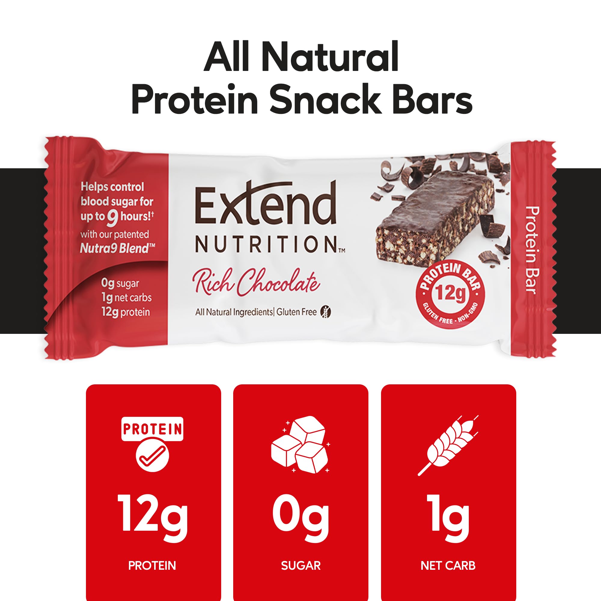 Extend Nutrition Sugar Free High Protein Bars, Perfect Sugar Free Snacks for Diabetes, Protein Bars for Hunger Control & Steady Energy, Low Carb, Keto, Intermittent Fasting, Rich Chocolate, 12 Count