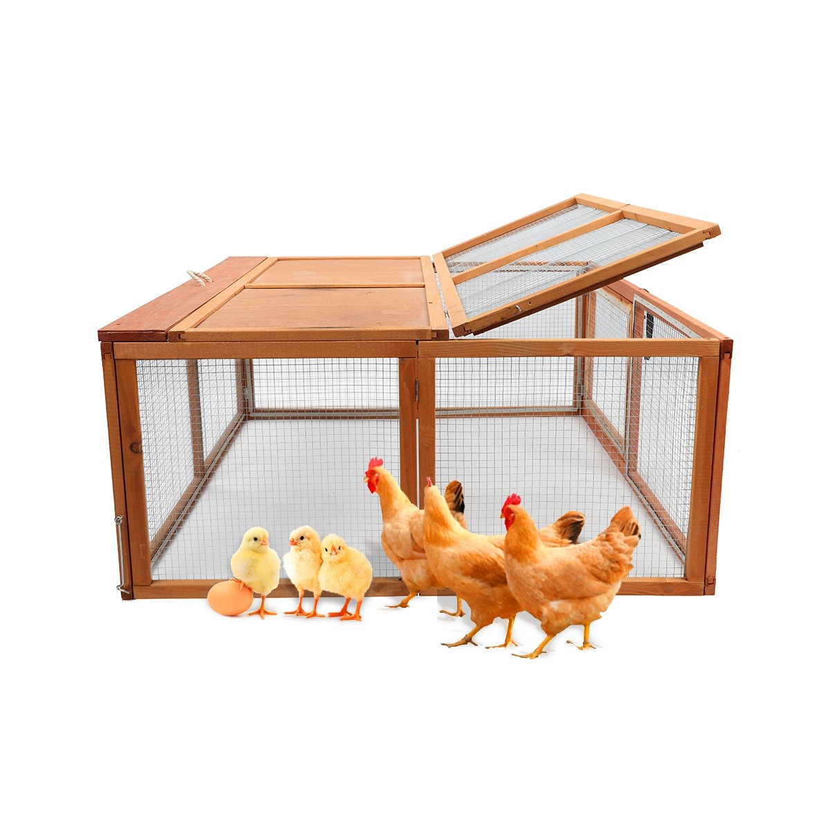Buy Magshion Folding Chicken Coop Rabbit Hutch, Portable Chicken House