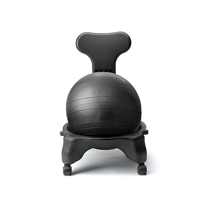 Image result for balance ball chair