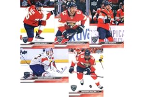 2023-24 Upper Deck Series 1 Veteran Florida Panthers Team Set of 7 Cards: Matthew Tkachuk(#74), Sam Reinhart(#75), Anthony Duclair(#76), Aaron Ekblad(#77), Brandon Montour(#78), Sergei Bobrovsky(#79), Sam Bennett(#80) - Sportscard Superstore