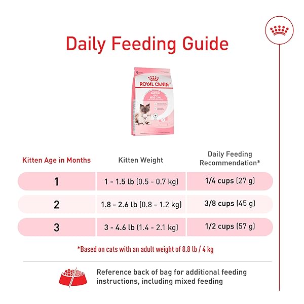 ROYAL CANIN FELINE HEALTH NUTRITION MOTHER & BABYCAT QUEEN DRY CAT FOOD, 6 LB BAG