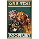 Dachshund Dog Vintage Metal Tin Sign Are You Pooping Sign Bathroom Funny Art Poster Decoration Toilet Cave Bar Home Bathroom Wall Decoration Sign 8x12 Inch