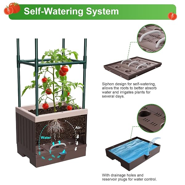 MQHUAYU RAISED GARDEN BED PLANTER BOXES WITH TRELLIS,1PCS 70.9″ SELF-WATERING TOMATO PLANTER BOXES WITH TRELLIS FOR CLIMBING VEGETABLES PLANTS FLOWERS TOMATO,USE FOR INDOOR OUTDOOR (BROWN)