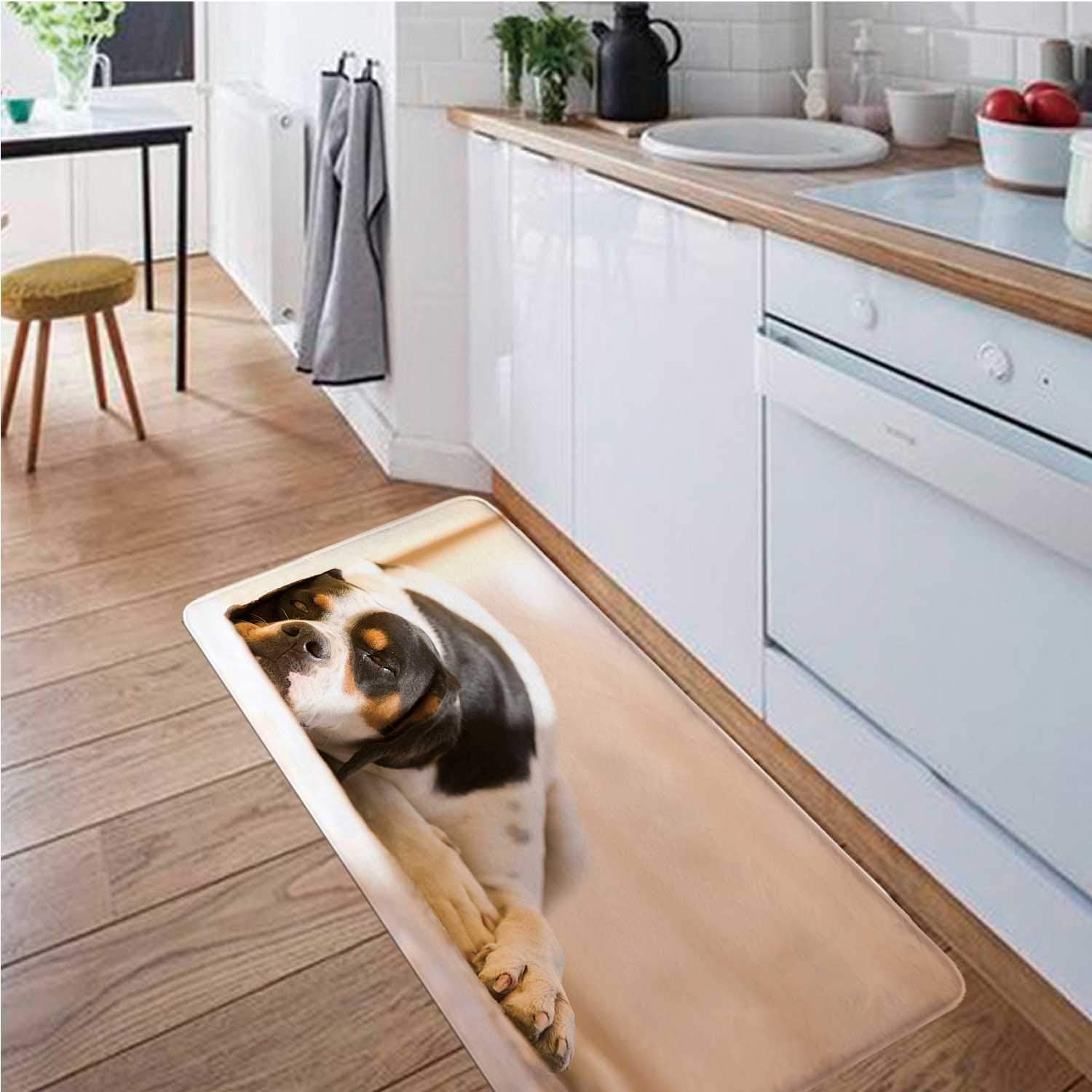 Lazy Dog, Runner Rugs Area Rugs Boho DRugr 4 x 6 ft