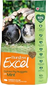 Excel Burgess Guinea Pig Nuggets with Mint 1.5 kg Green view 1