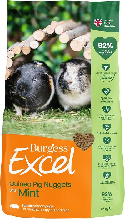 Excel Burgess Guinea Pig Nuggets with Mint 1.5 kg Green