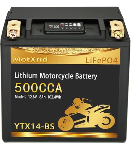 Amazon.com: AJC Battery Compatible with Harley-Davidson FX FXR