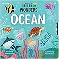 Little Wonders OCEAN — Introduction to the Ocean Multi-Activity Children's Board Book Including Flaps, Wheels, Tabs, and More