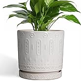 Eightpot Ceramic Planter for Indoor Plants - 8 Inch Plant Pot Outdoor Flower Pot with Drainage Holes and Saucer Modern Round Planter Succulent Pot for Home Garden Decor White