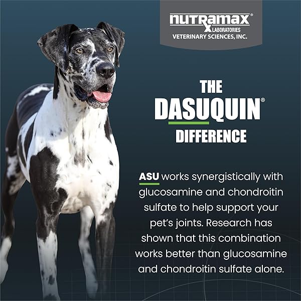 NUTRAMAX DASUQUIN FOR LARGE DOGS, JOINT HEALTH SUPPLEMENT, CONTAINS GLUCOSAMINE FOR DOGS, PLUS CHONDROITIN, ASU AND MORE, SUPPORTS HEALTHY JOINTS, SOFT CHEWS, 84 COUNT