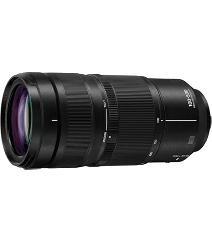 Amazon.com : Sigma 100-400mm F5-6.3 DG DN OS L-Mount Lens (Renewed