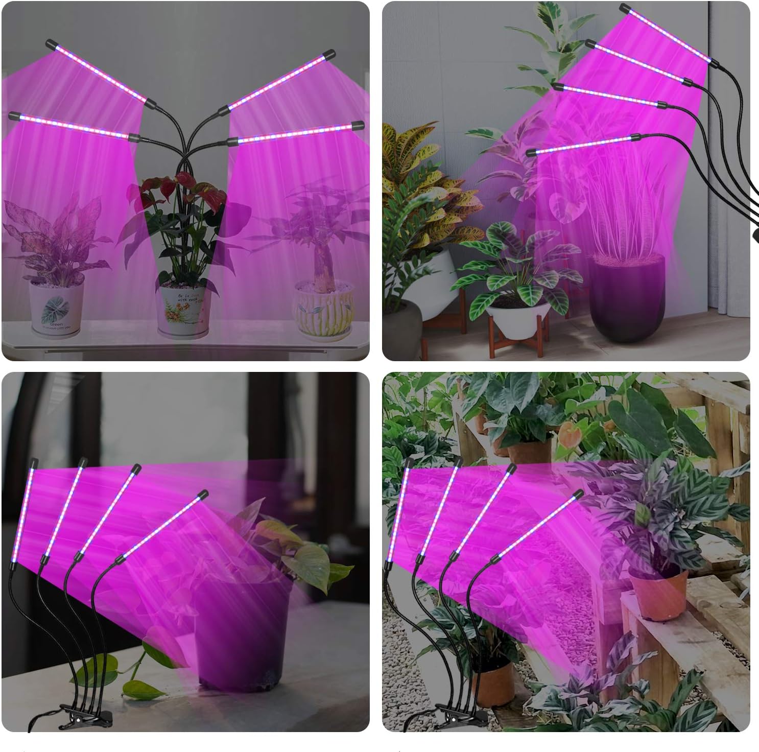 Sunrich Grow Light for Indoor Plant 80W Full Spectrum Led Growing Lamps with Remote Control, On/Off 4/8/12H Timer, 10 Dimmable Levels for Indoor Succulent Plants Growth: Home Improvement