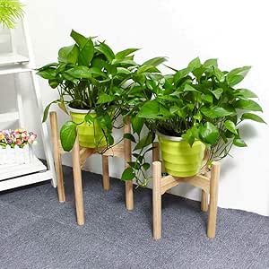 chishizhenxiang Soporte de Flores de Madera, Soporte de contenedor ...