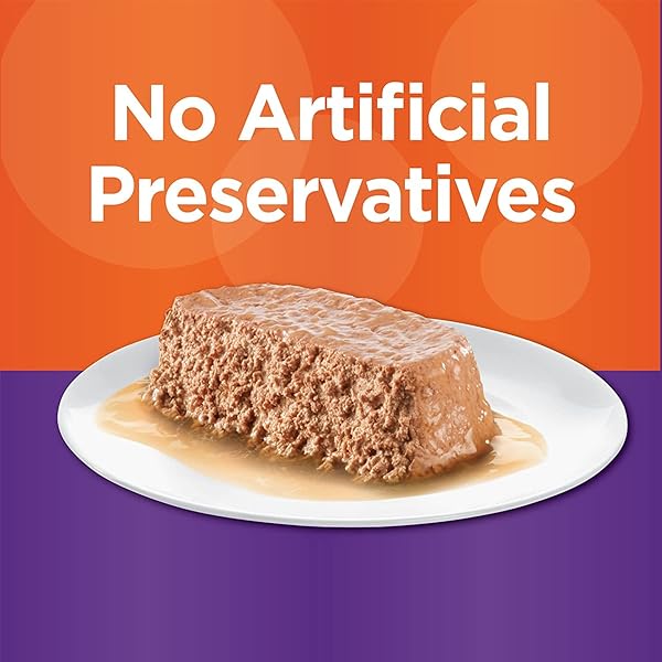 IAMS PERFECT PORTIONS HEALTHY KITTEN PATE` CHICKEN RECIPE (12-TRAYS =24 SINGLE SERVINGS)12