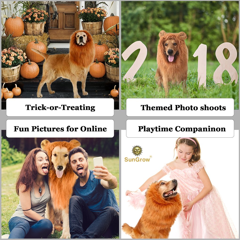 SunGrow Lion Mane Costume with Ears for Big Dogs & Cats: Get your pet dressed up in the cute adorable mane ever! Perfect for Halloween & Costume Parties