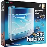 geosafari ant factory