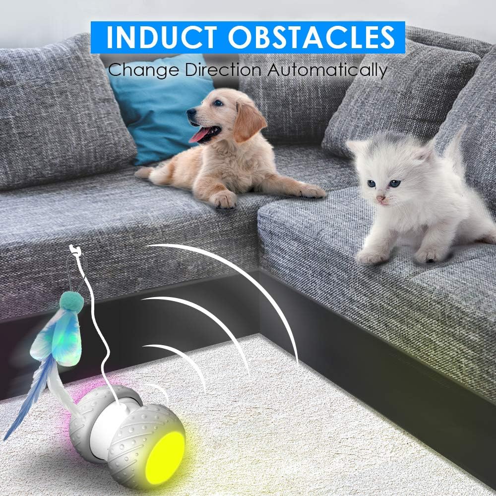 k-berho Remote Control/Robotic Cat Toys Interactive, Cat Toys for Indoor with Feather, Color Ribbon, Butterfly, Automatic Cat Toy with Irregular USB Charging 360 Degree Self Rotating Ball : Pet Supplies