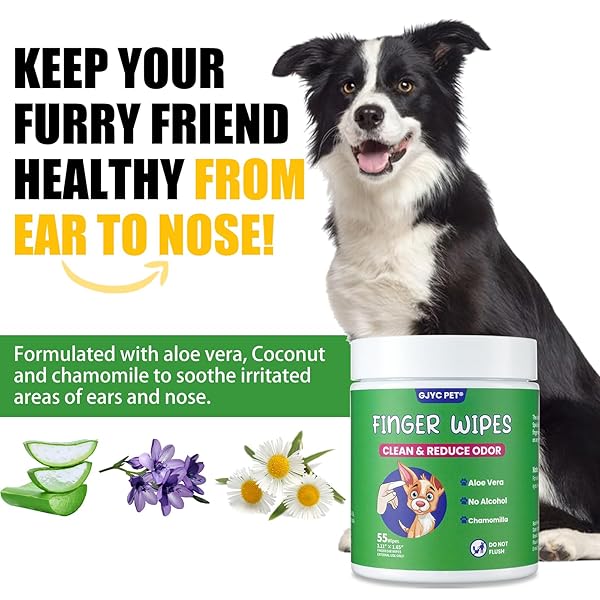 GJYC PET EAR WIPES FOR DOGS AND CATS, RELIEVE EAR ITCHING AND INFLAMMATION WITH ALOE, REMOVE EAR WAX AND DEBRIS, SOOTHING AND DEODORIZING, NATURAL INGREDIENTS, CONVENIENT AND PORTABLE