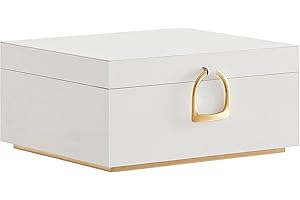 SONGMICS 2-Layer Jewelry Box, Jewelry Organizer with Handle, Removable Jewelry Tray, White UJBC165W01