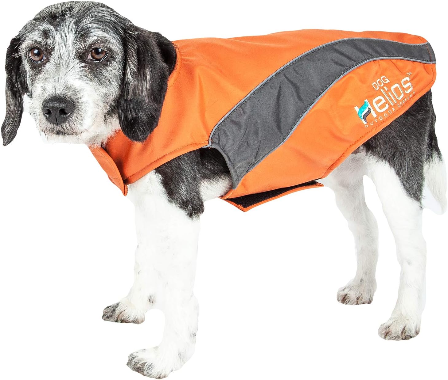 neoprene dog jacket