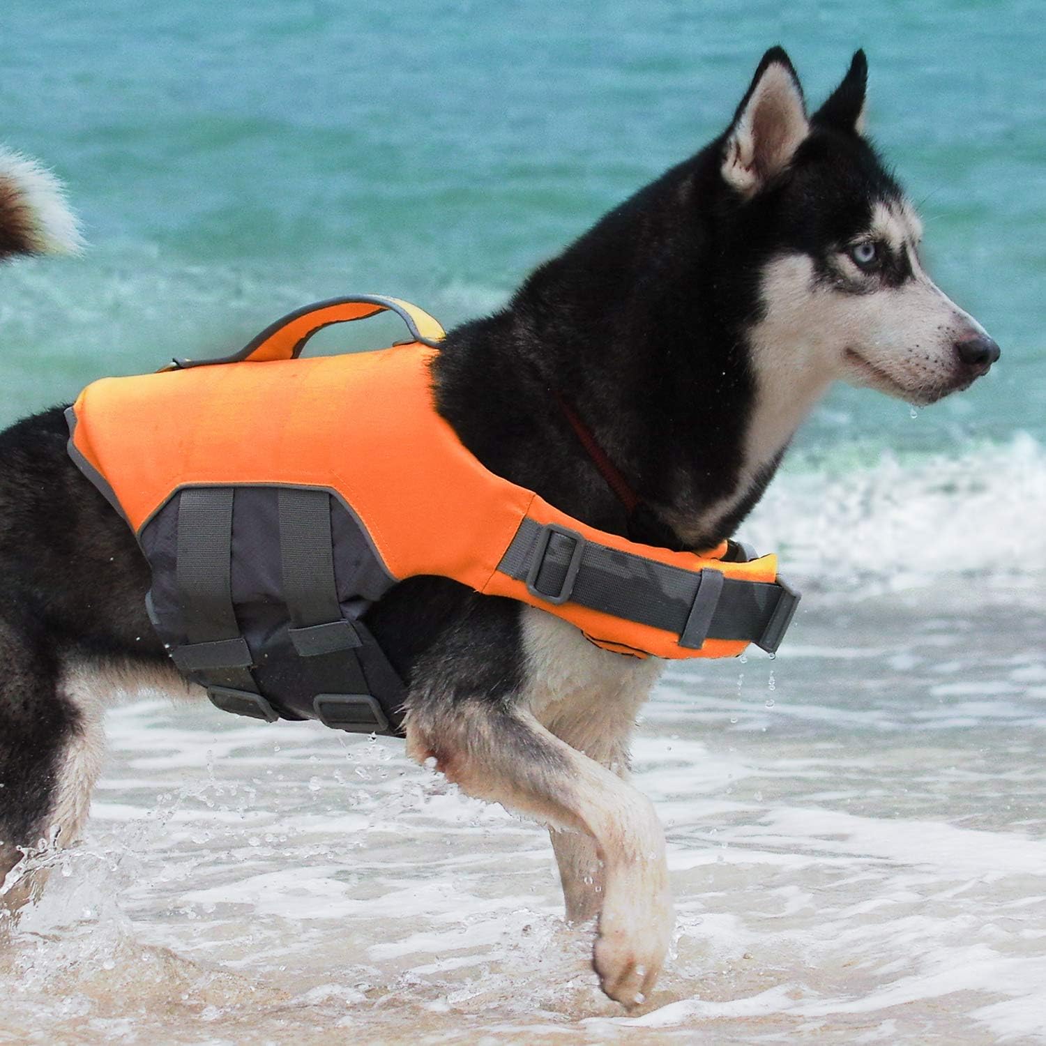 Amazon Thinkpet ペットライフジャケット 水泳用ライフジャケット 高密度 水遊び 浮力が優れる 犬の安全に守る Thinkpet レインコート ライフジャケット 通販 Amazon Thinkpet ペットライフジャケット 水泳用ライフジャケット 高密度 水遊び 浮力が優れる 犬の安全に守る Thinkpet レインコート ライフジャケット 通販