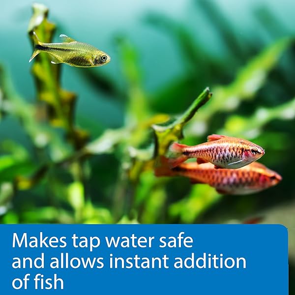 API PERFECT START COMPLETE AQUARIUM START UP PROGRAM ADDITIVE, 1 COUNT (PACK OF 1)
