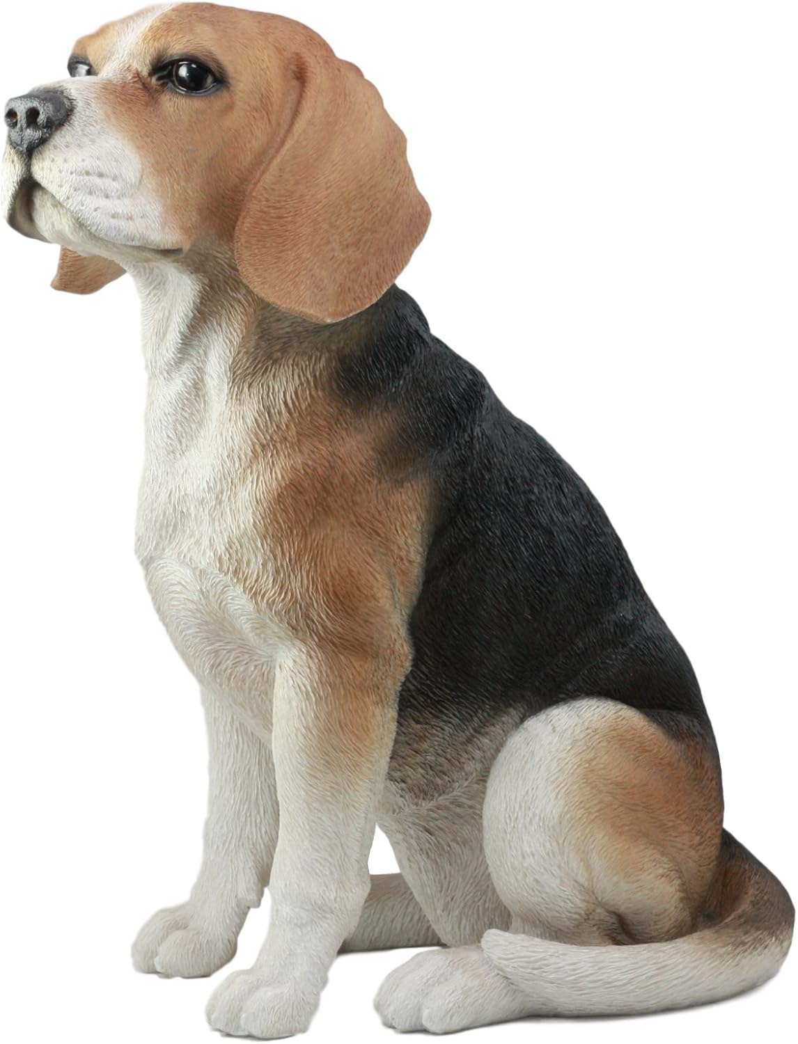 large beagles